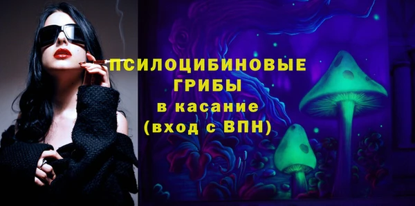 гашик Алзамай
